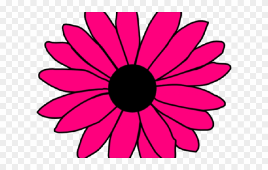 Detail Pink Sunflower Png Nomer 20