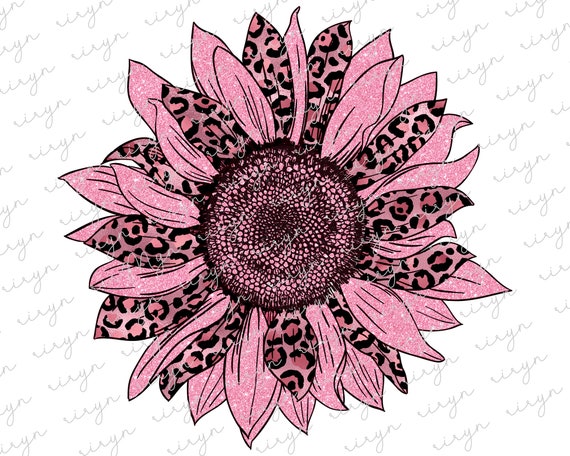 Detail Pink Sunflower Png Nomer 7