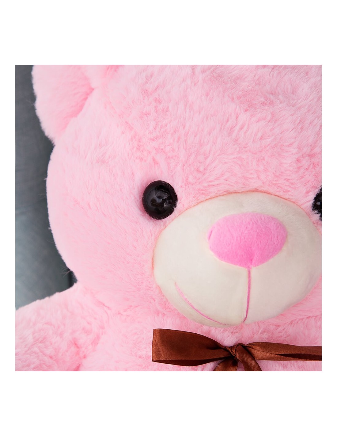 Detail Pink Teddy Bear Images Nomer 13