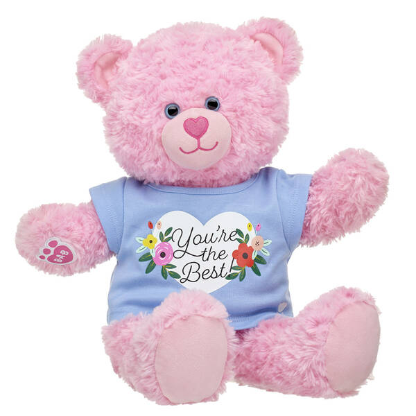 Detail Pink Teddy Bear Images Nomer 19