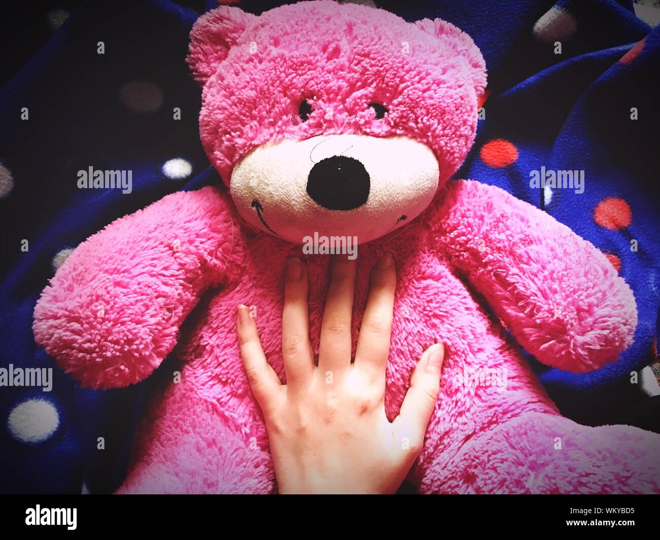 Detail Pink Teddy Bear Images Nomer 54