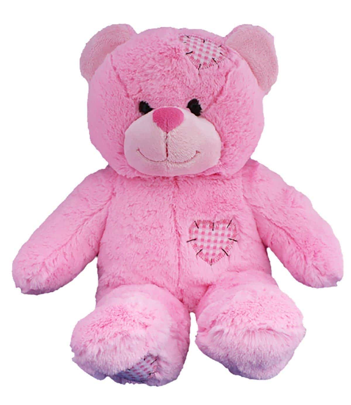 Detail Pink Teddy Bear Images Nomer 9