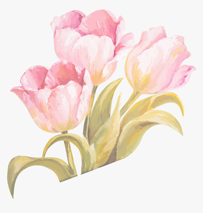 Detail Pink Tulip Png Nomer 26