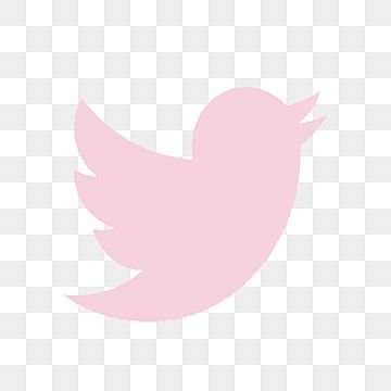 Detail Pink Twitter Icon Png Nomer 10