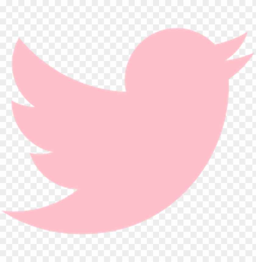 Detail Pink Twitter Icon Png Nomer 2