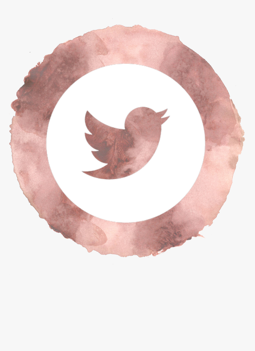 Detail Pink Twitter Icon Png Nomer 26