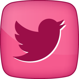 Detail Pink Twitter Icon Png Nomer 32