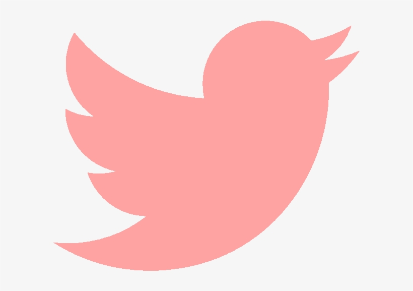Detail Pink Twitter Icon Png Nomer 4