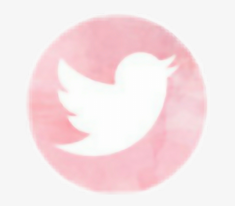 Detail Pink Twitter Icon Png Nomer 41