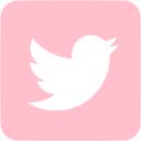 Detail Pink Twitter Icon Png Nomer 54