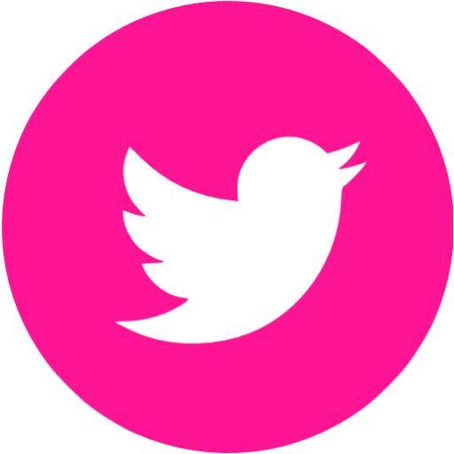 Detail Pink Twitter Icon Png Nomer 6