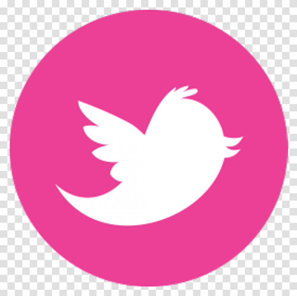 Detail Pink Twitter Icon Png Nomer 7