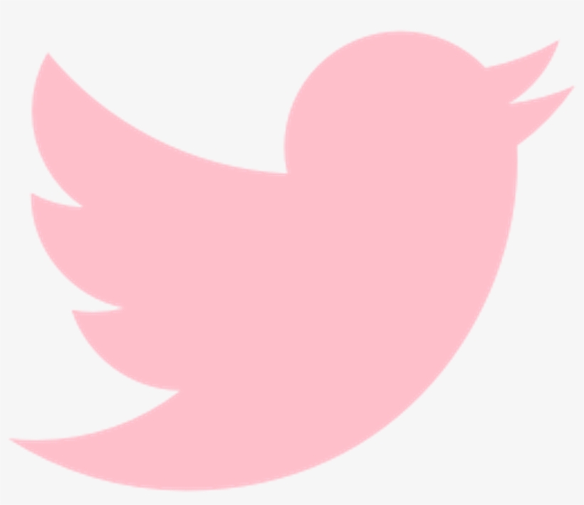 Detail Pink Twitter Icon Png Nomer 8