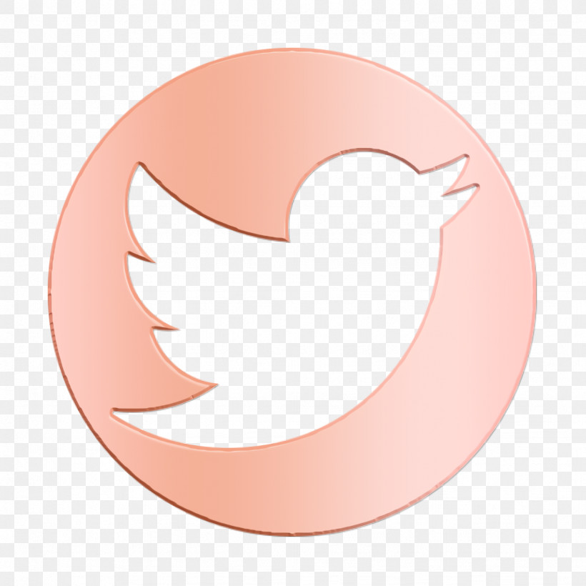 Detail Pink Twitter Png Nomer 50