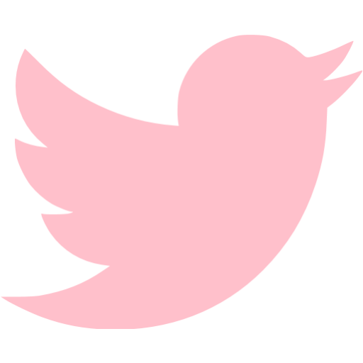 Detail Pink Twitter Png Nomer 10