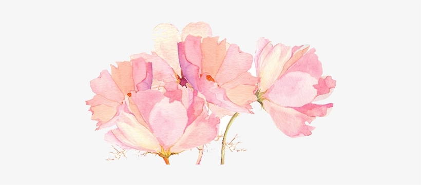 Detail Pink Watercolor Flowers Nomer 17