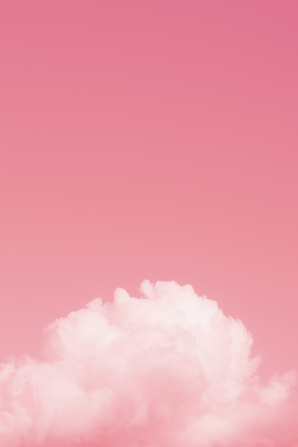 Pink White Wallpaper - KibrisPDR