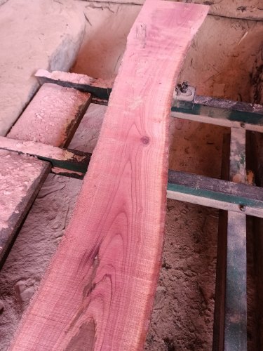 Detail Pink Wood Nomer 27