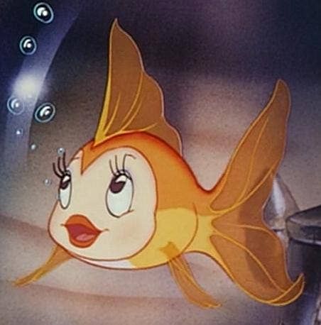 Detail Pinocchio Goldfish Name Nomer 5