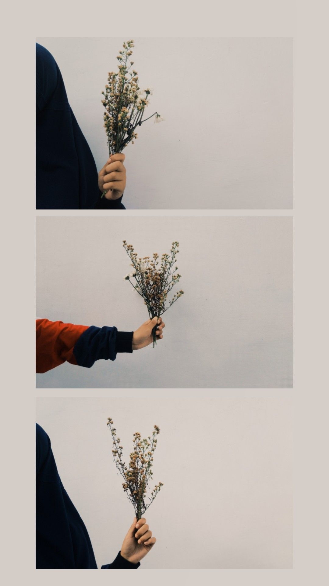 Detail Pinterest Bunga Nomer 8