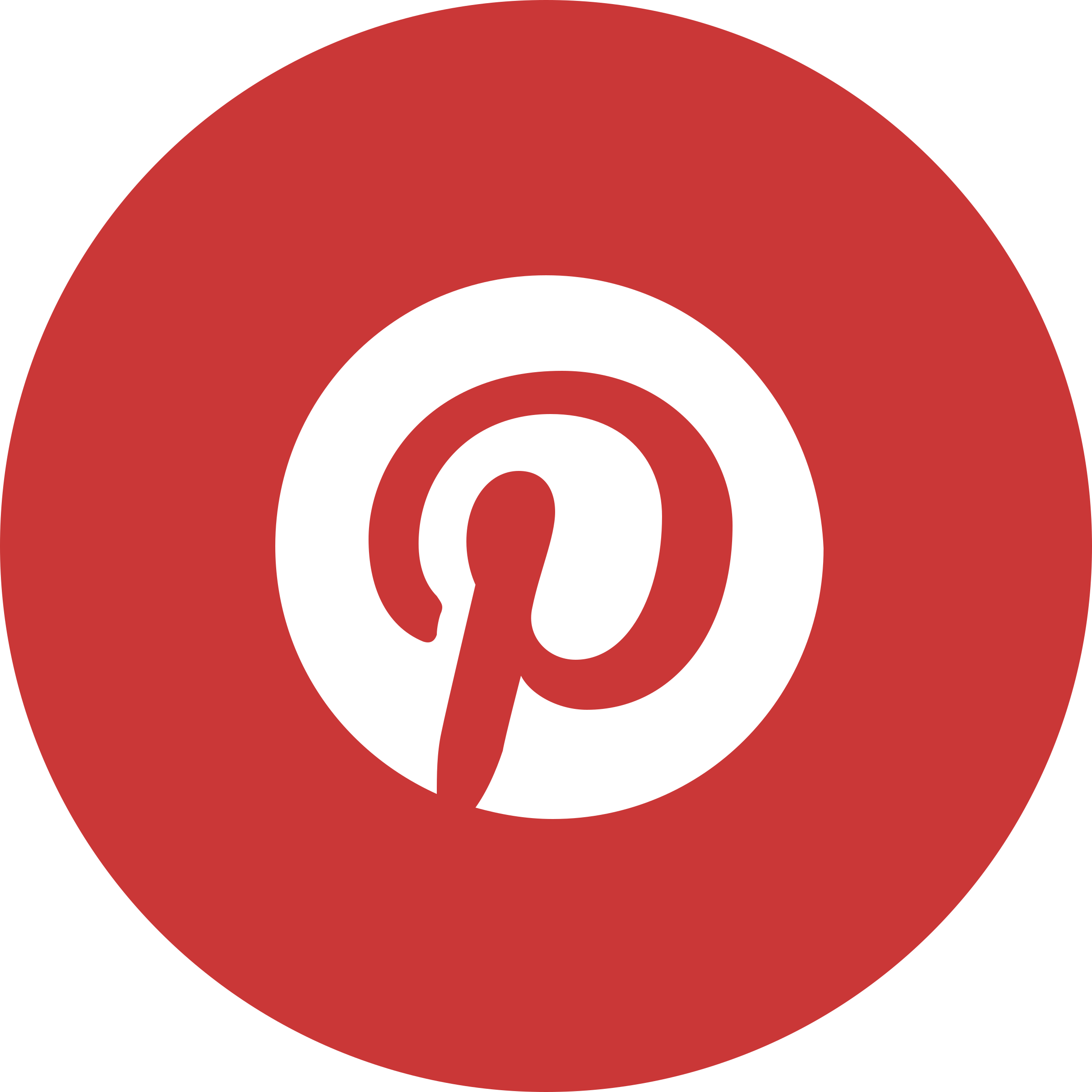 Detail Pinterest Logo Transparent Nomer 4