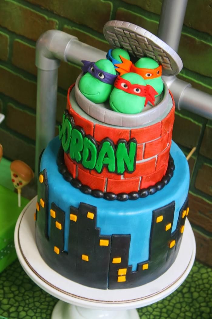 Detail Pinterest Ninja Turtle Cake Nomer 17