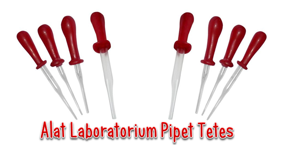 Detail Pipet Tetes Png Nomer 25