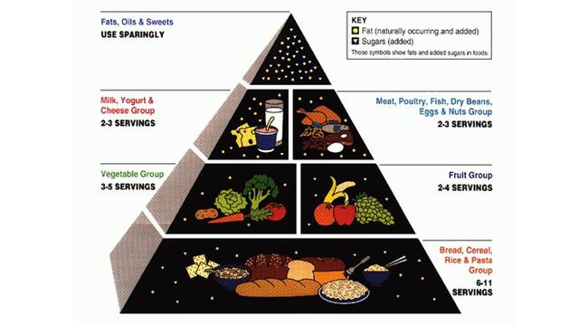 Piramida Makanan Gizi Seimbang - KibrisPDR