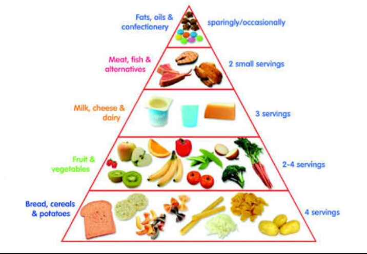 Detail Piramida Makanan Gizi Seimbang Nomer 18