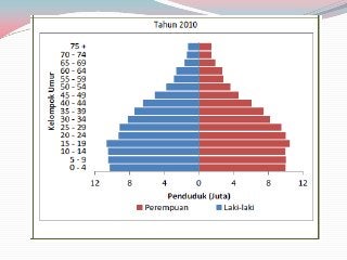 Detail Piramida Penduduk Amerika Nomer 37