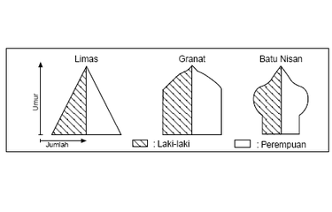 Detail Piramida Penduduk Amerika Nomer 47