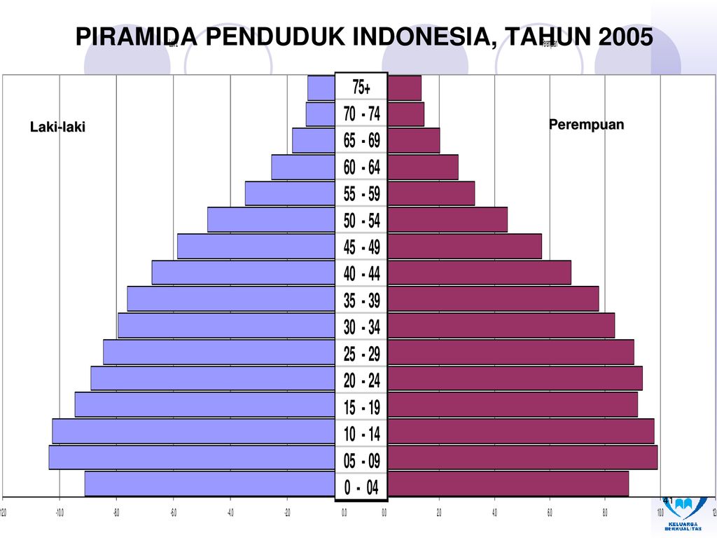 Detail Piramida Penduduk Amerika Nomer 48