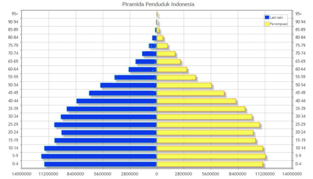 Detail Piramida Penduduk Amerika Serikat Nomer 39