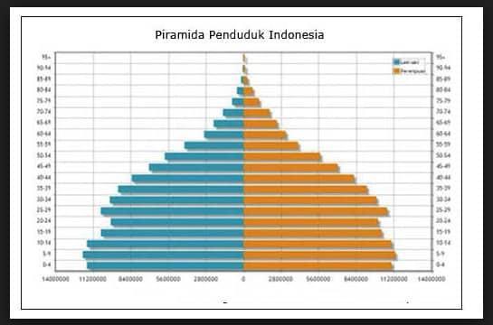 Detail Piramida Penduduk Amerika Serikat Nomer 49