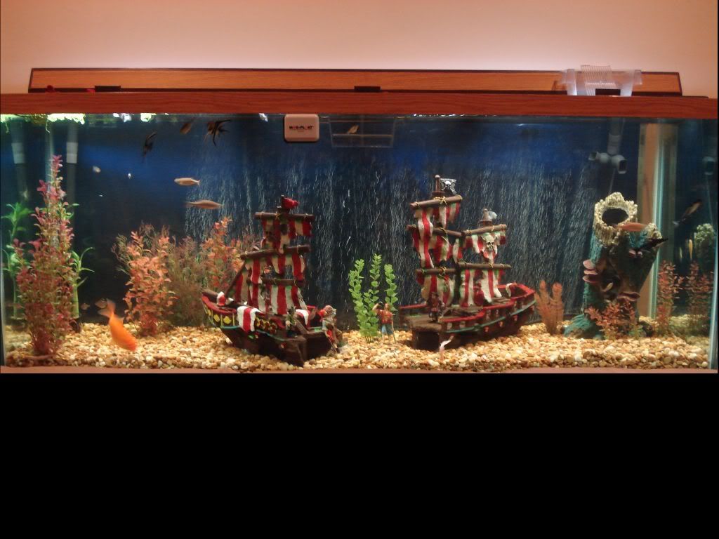 Detail Pirate Aquarium Decoration Nomer 32