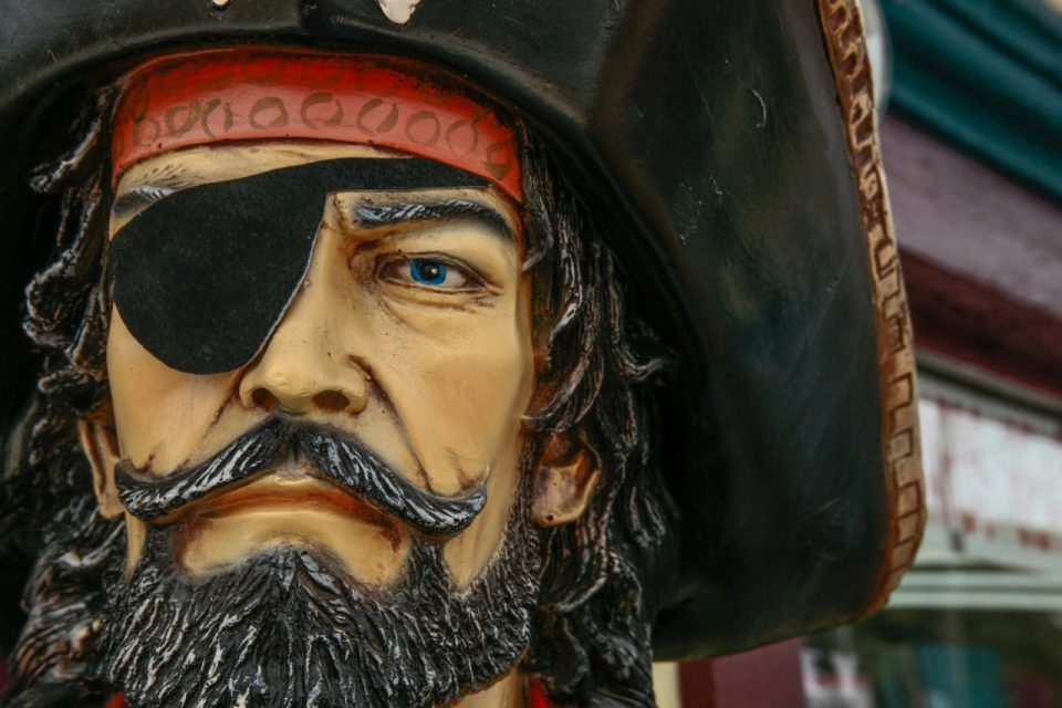 Detail Pirate Picturs Nomer 30