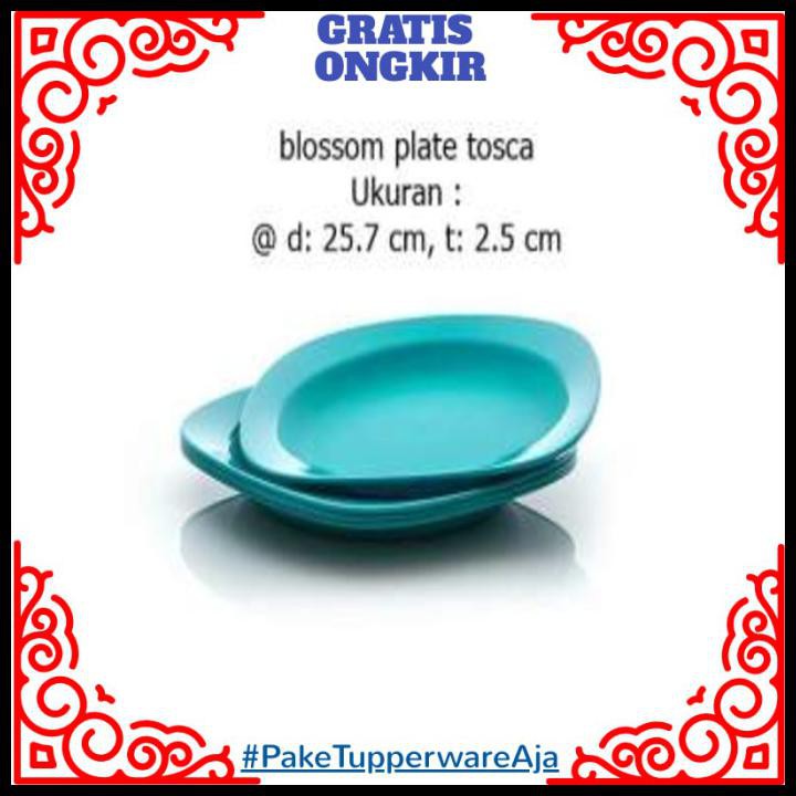 Detail Piring Tupperware Biru Nomer 14