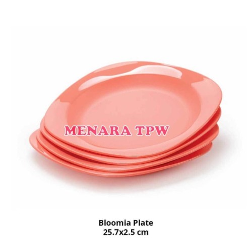 Detail Piring Tupperware Biru Nomer 16