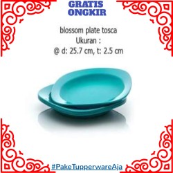 Detail Piring Tupperware Biru Nomer 22