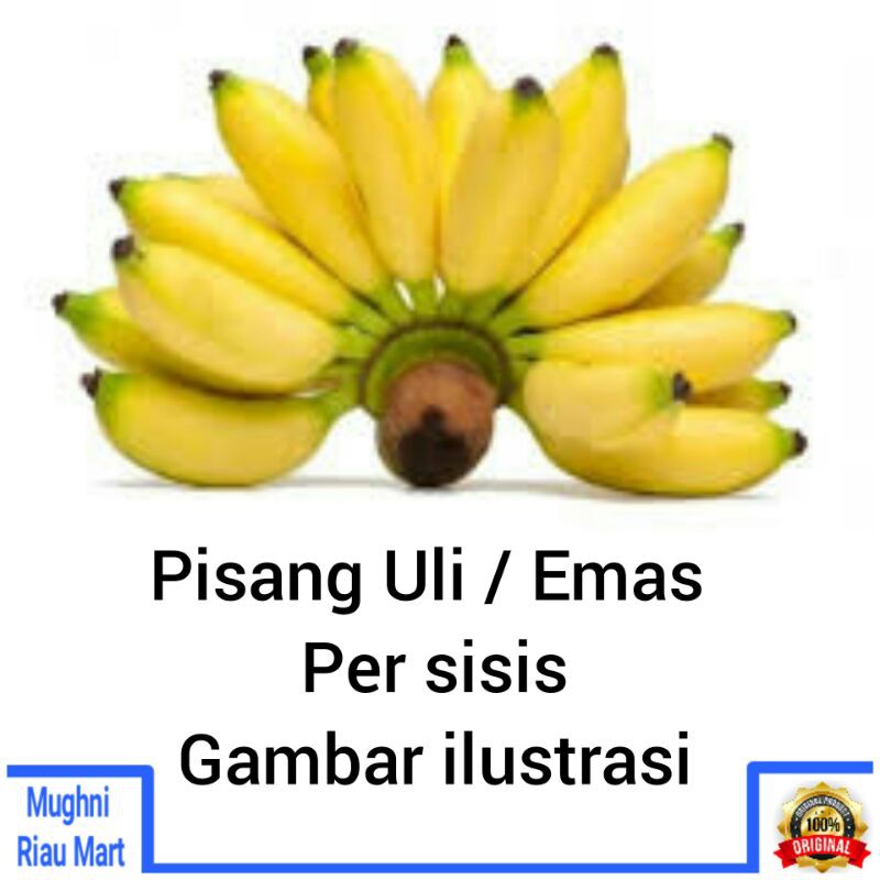 Detail Pisang Kecil Kecil Nomer 40