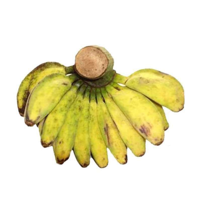 Detail Pisang Kepok Png Nomer 22