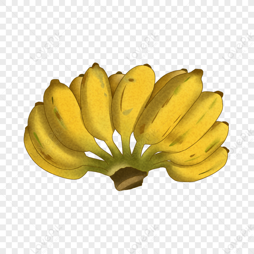 Detail Pisang Kepok Png Nomer 26