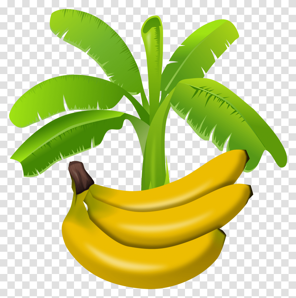 Detail Pisang Kepok Png Nomer 50