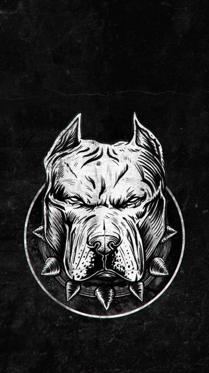 Detail Pitbull Dog Wallpaper Nomer 34