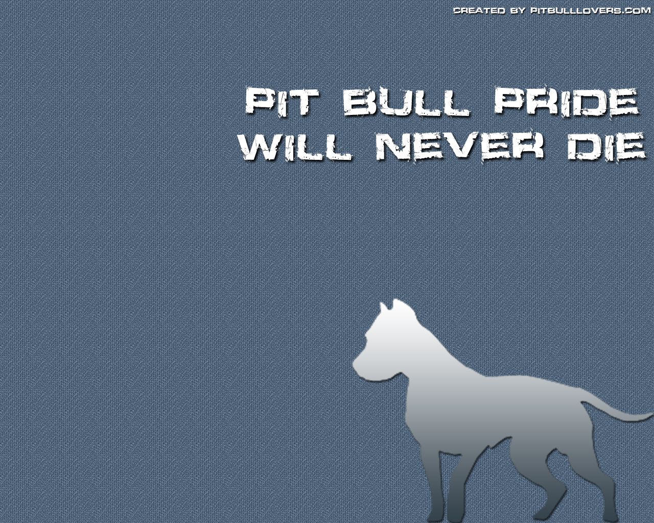 Detail Pitbull Dog Wallpaper Nomer 36