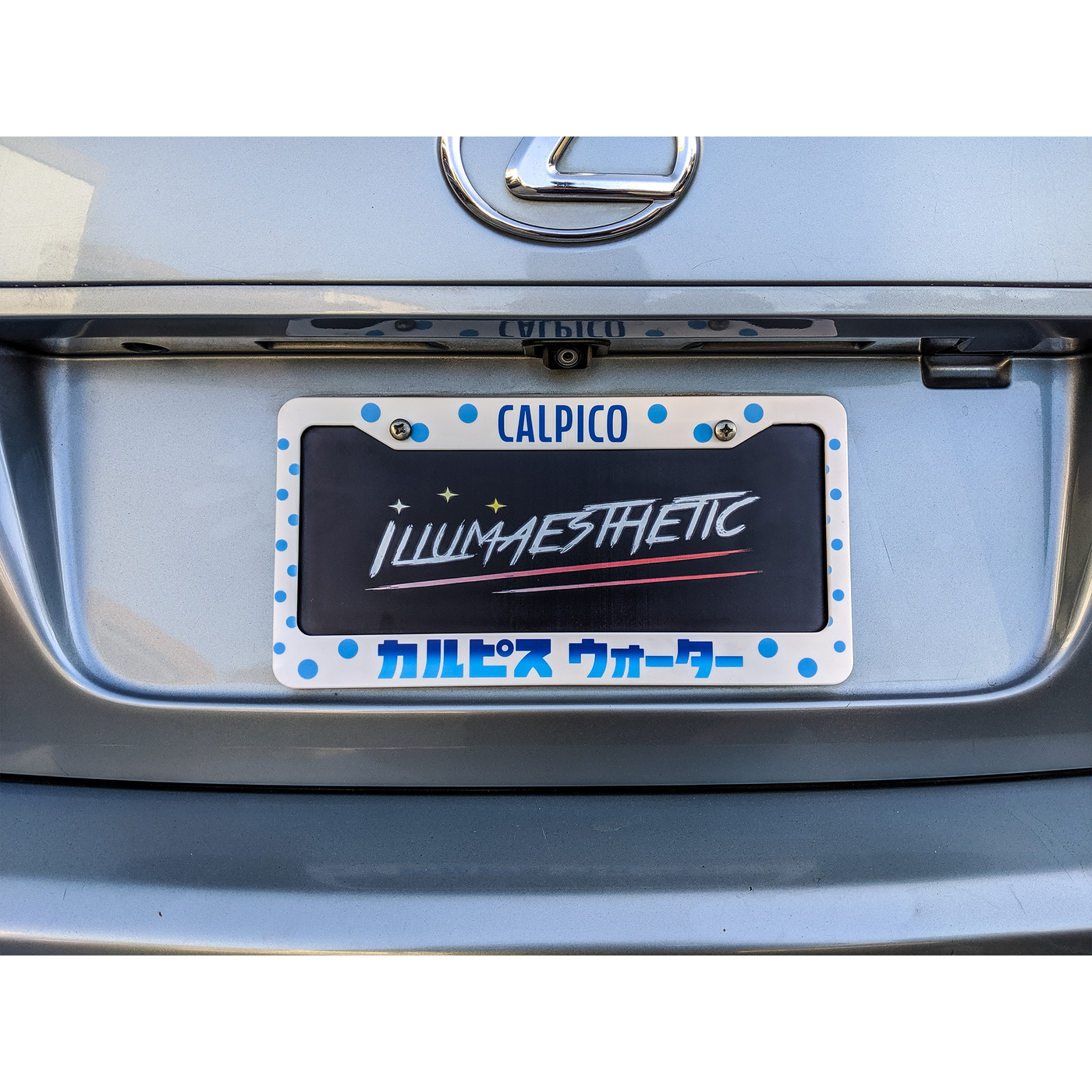 Detail Pitt License Plate Frame Nomer 37