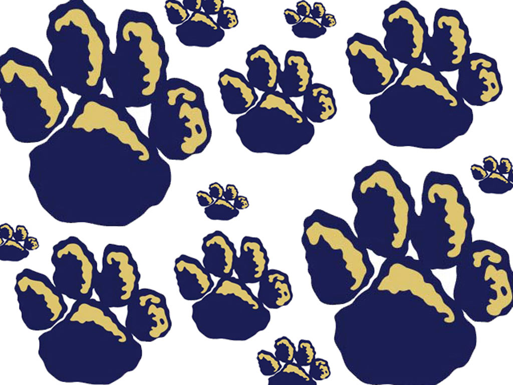 Detail Pitt Panther Paw Print Nomer 6