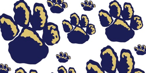 Detail Pitt Panther Paw Print Nomer 28