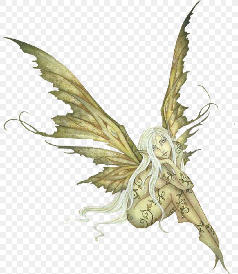 Detail Pixie Png Nomer 23