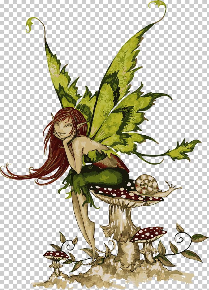 Detail Pixie Png Nomer 53